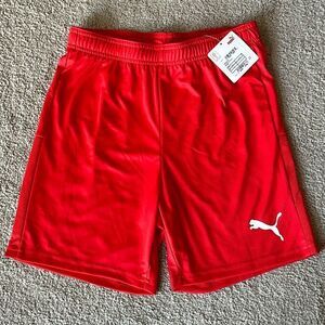 🔥Puma TeamGoal 23 Knit Unisex Shorts in Red